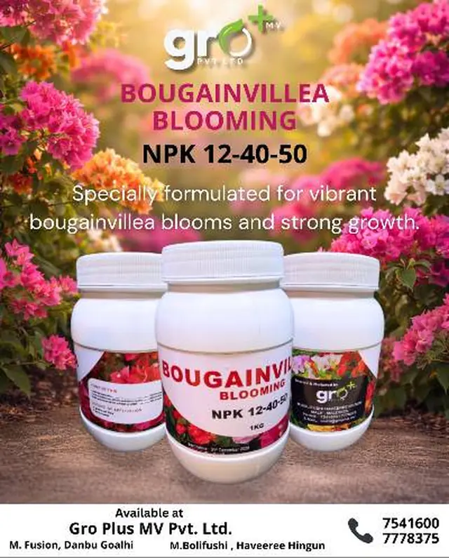 Gro+ Bougainvillea Blooming NPK 12-40-50